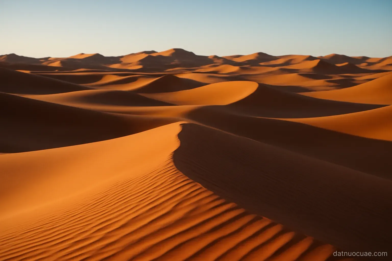 Rolling orange sand dunes under clear sky with long shadows, wide landscape, no text